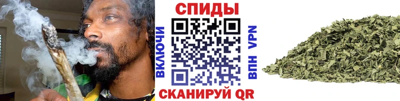 Купить где  Георгиевск  БУТИРАТ буратино 